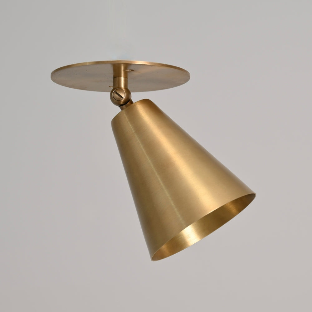 modern brass spot light adjustable on a gray background